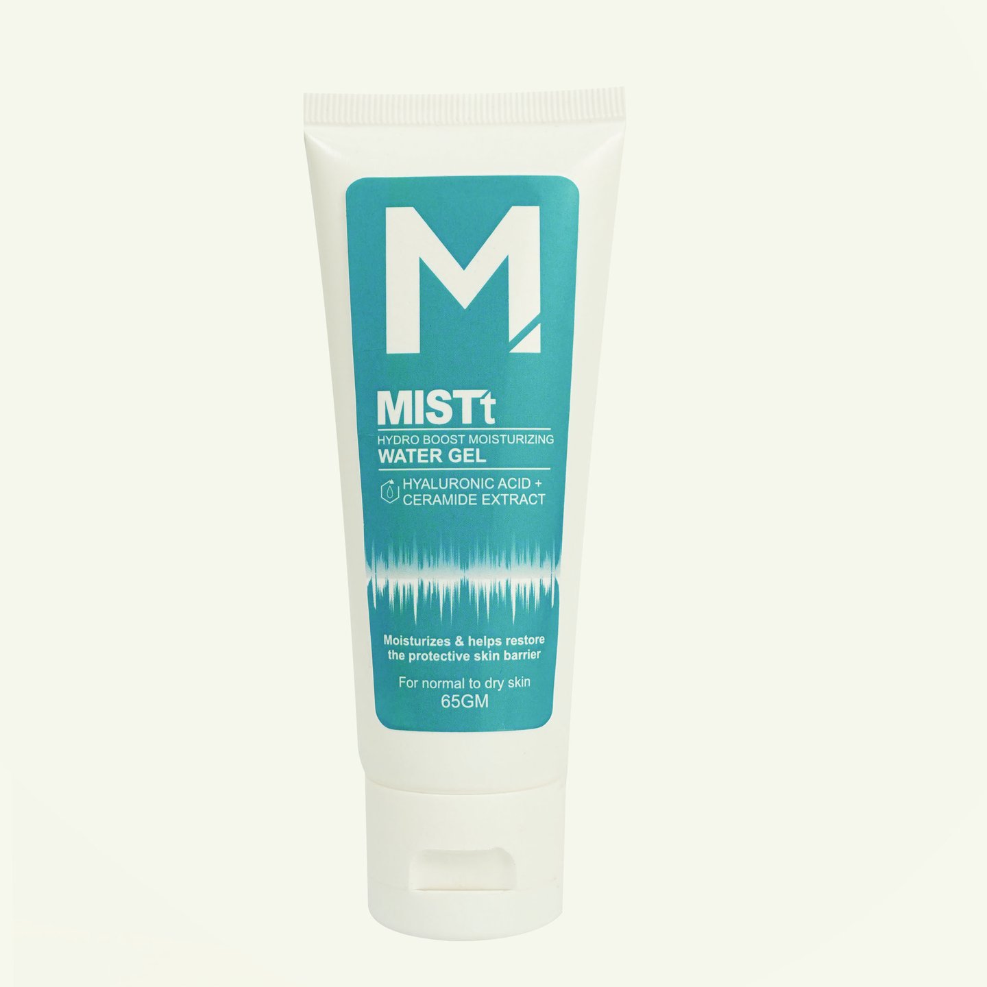 MISTT HYDRO BOOST MOISTURIZING WATER GEL